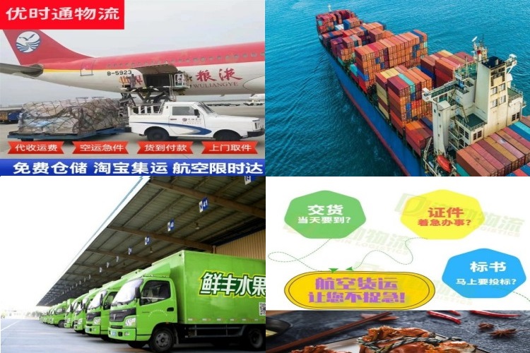 临泽到葡萄牙航空货运公司-临泽到葡萄牙物流专线
